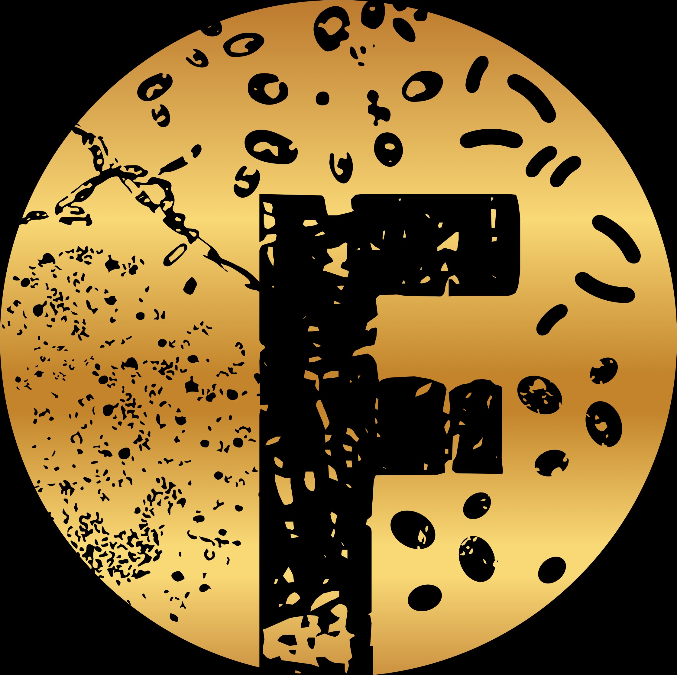 Fermentique
